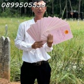 Chính chủ bán nhanh vườn sầu riêng Bù Đăng Bình Phước 6800m2 1,9 tỷ