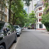 BÁN NHÀ! PHÂN LÔ VIP NGUYỄN TUÂN, THANH XUÂN - VỈA HÈ, OTO TRÁNH - KINH DOANH, VP