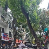 nhà mặt phố Thanh Nhàn, 1 mặt ngõ, 115m x 8 tầng, thang máy, vỉa hè 7m, kinh doanh ngày đêm