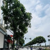 Chính chủ gửi bán mặt phố Lê Trọng Tấn, 60m, 17.79 Tỷ, mặt tiền 5.3m, ô tô dừng đỗ, kinh doanh