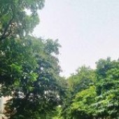 KỊCH ĐỘC! MẶT PHỐ HÀNG BÔNG - HOÀN KIẾM, KD Ô TÔ TRÁNH, VỈA HÈ
80M, 4T, MT: 4.5M, 65 TỶ