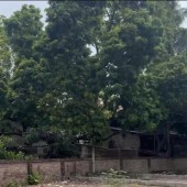 Bán nhanh mảnh đất lô góc, ô tô vào, xây nhà ở hoặc đầu tư ngay DT60m, Trung tâm thường Tín giá 42tr/m2