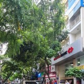 BÁN GẤP-Mặt Phố Vương Thừa Vũ 181m/7 Tầng/MT 5m,Vị trí hiếm,K.Doanh đỉnh 55 Tỷ