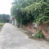 Bán 150m2 đất giãn dân Sơn Du, Nguyên Khê, Đông Anh, Hà Nội