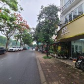 BÁN NHÀ NGUYỄN KHANG_MẶT PHỐ_KINH DOANH ĐỈNH_NHÀ ĐẸP