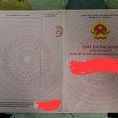 Nền này 5×24 123m2 gần UBND Tân Nhật , đường Thế Lữ, Tân Nhât-Bình Chánh