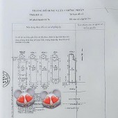 MT TÔN THẤT THUYẾT CHỈ NHỈNH 7T - GIANG GIANG:0901611116