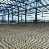 Cho Thuê Hoặc Bán Xưởng KCN Mỹ Phước 2, Bình Dương - Diện Tích Khủng 10.000m², Giá Tốt