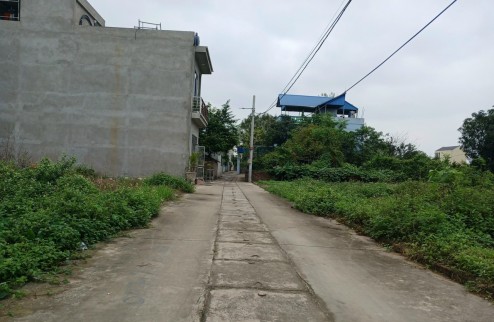 Bán đất Quang Minh, Mê Linh, HN. Gần trường CD Y Dược Tuệ Tĩnh. Dt 66m, giá 2,05 tỷ.