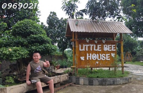 Cơ hội đầu tư khu nghỉ dưỡng Little Bee House Lương Sơn, Hòa Bình, giá đầu tư