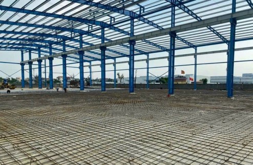 Cho Thuê Hoặc Bán Xưởng KCN Mỹ Phước 2, Bình Dương - Diện Tích Khủng 10.000m², Giá Tốt