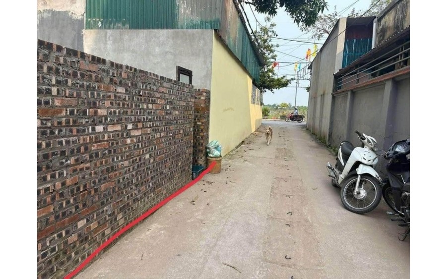 BÁN ĐẤT TRÂU QUỲ. 66M2 * MT 5,2M * 7,4 TỶ. Ô TÔ LÙI CỬA, SÁT PHỐ