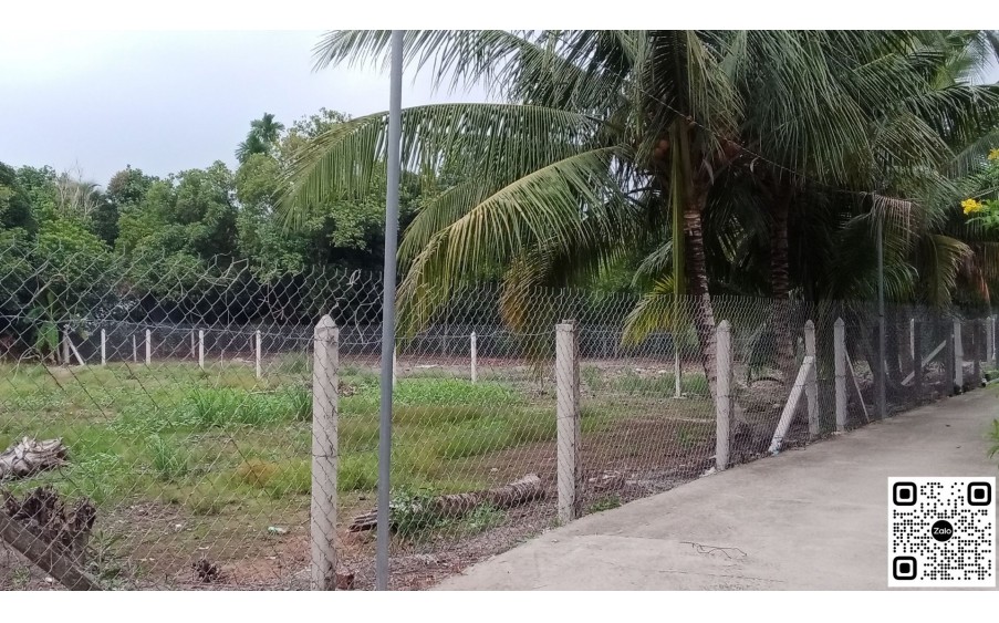 Bán Đất 500 m2 & 686 m2 đường An Sơn 32, 

Xã An Sơn, TP Thuận An, bình dương