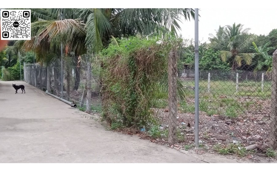 Bán Đất 500 m2 & 686 m2 đường An Sơn 32, 

Xã An Sơn, TP Thuận An, bình dương