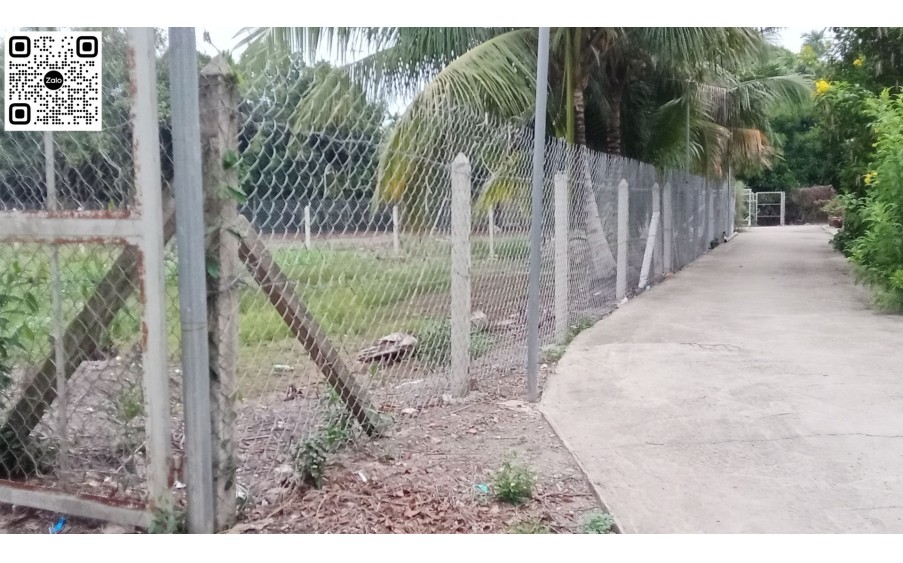 Bán Đất 500 m2 & 686 m2 đường An Sơn 32, 

Xã An Sơn, TP Thuận An, bình dương