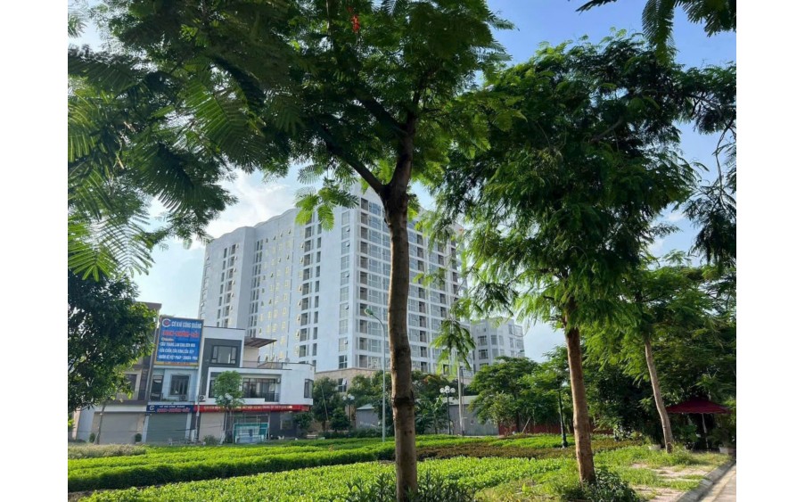 ❇️Cc:Pán lô đất view Vườn Hoa khu KHẢ LỄ 3 -P.VÕ CƯỜNG - TP BẮC NINH 
Dt : 81 m2 Mt : 4.5m