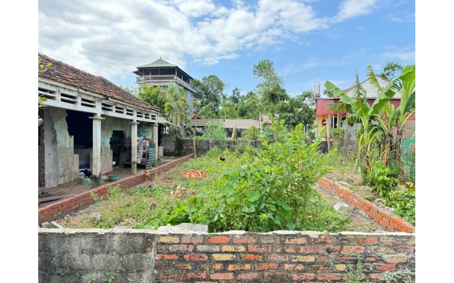 Bán đất Hợp Châu, Tam Đảo, Vĩnh Phúc. Mặt nhựa kinh doanh, View đồng, DT 81m, giá 1,5 tỷ.