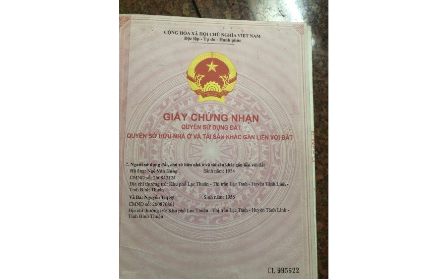 BÁN ĐẤT CAO SU 3HA – THÔN 1, XÃ GIA HUỲNH, HUYỆN TÁNH LINH, BÌNH THUẬN