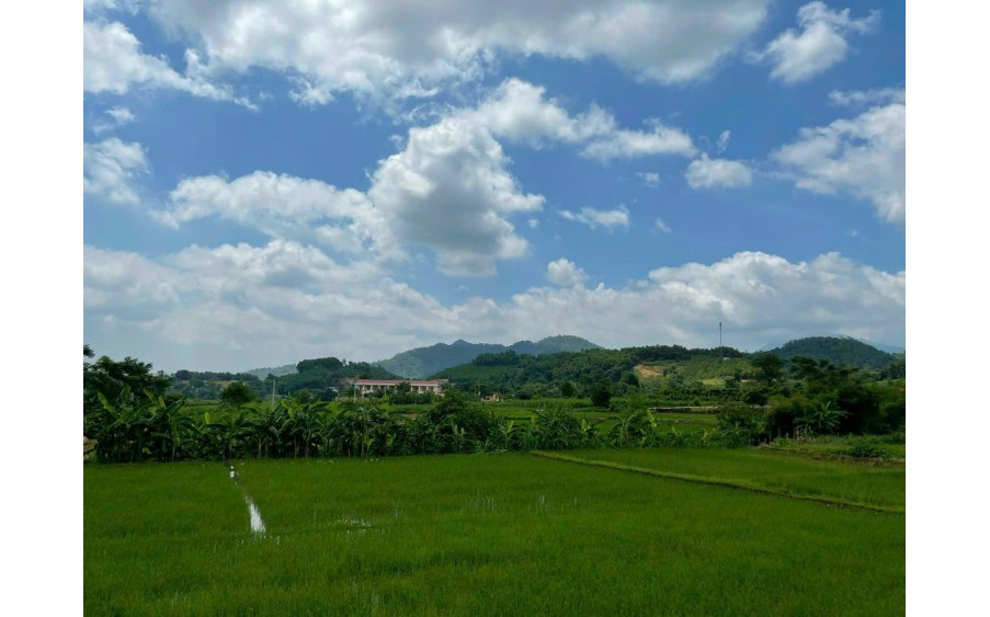 ĐẤT CHÍNH CHỦ - GIÁ TỐT - Vị Trí Đẹp Tại Thôn Quýt, Xã Yên Bài, Huyện Ba Vì, Thành phố Hà Nội