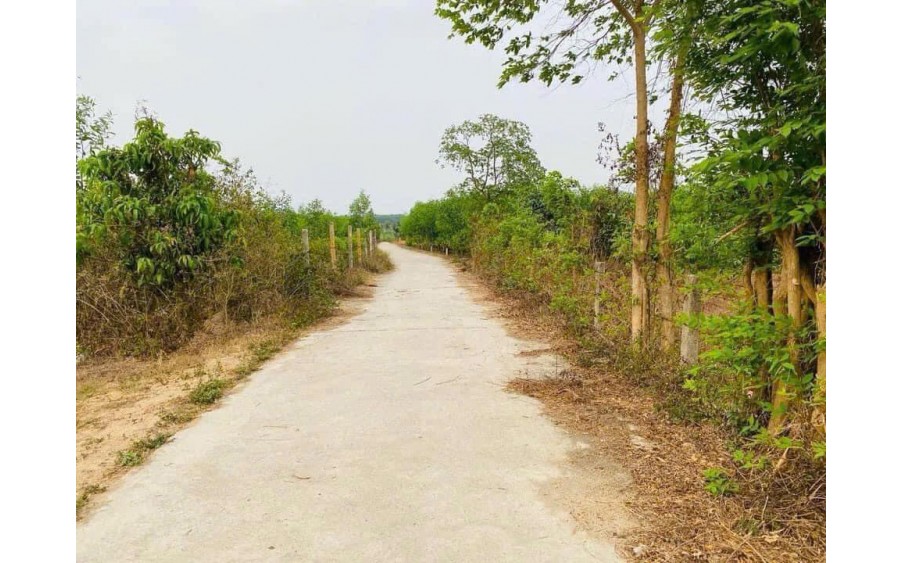 LÔ ĐẤT QH FULL THỔ 500,6M2 - NẰM MẶT TIỀN ĐƯỜNG 5,5m TẠI SUỐI TIÊN - DIÊN KHÁNH!