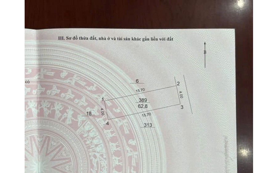 THỬA ĐẤT VÀNG - MẶT TIỀN 4M - XÂY CCMN DÒNG TIỀN TỶ ĐỒNG/NĂM - VỊ TRÍ ĐẮC ĐỊA Tại Trần Cung