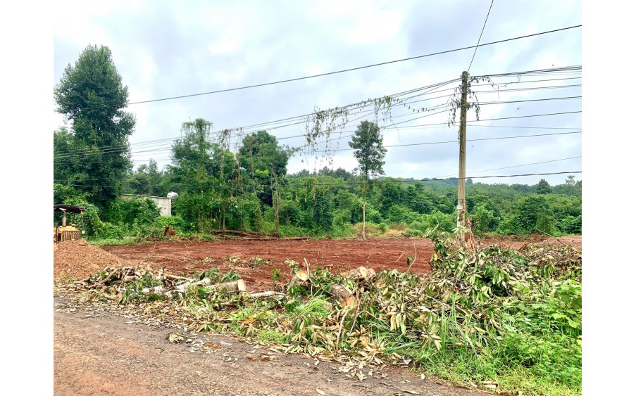 Chính Chủ bán gấp 3 sổ (16x50=800m2) cổng sau sân bay, 1 xẹt QL13,gần trường chợ trung tâm thị xã nhỉnh 300tr