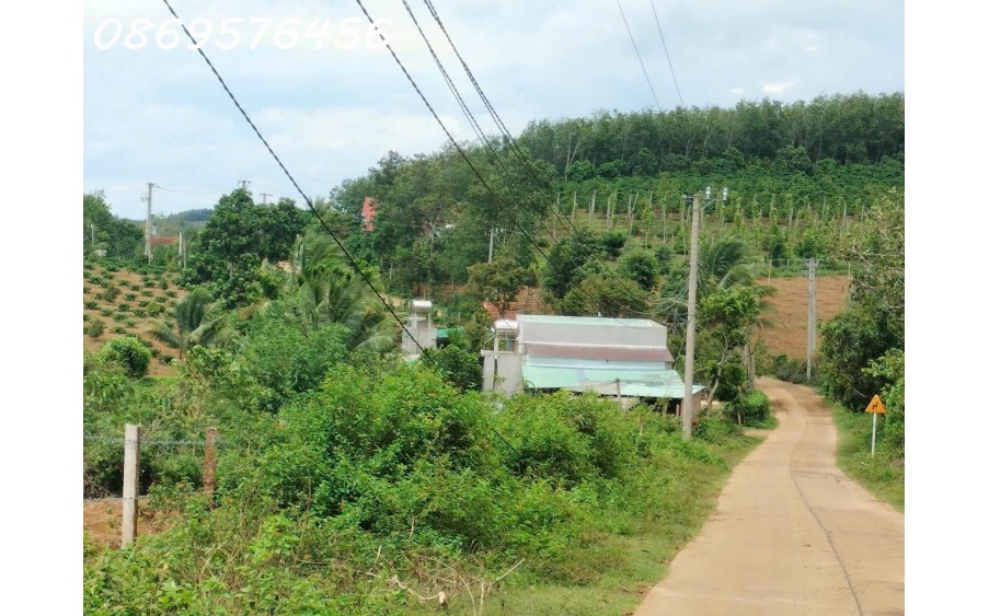 BÁN ĐẤT LÀM VƯỜN TẠI SÔNG HINH, PHÚ YÊN