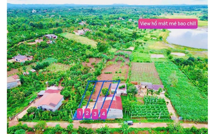 Bán đất đường bê tông view hồ 56 diện tích 250m2 sẵn 60m2 thổ cư chỉ 179tr view rất mát