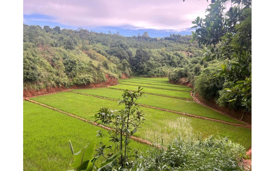 Bán Đất làm Homestay, Farmstay