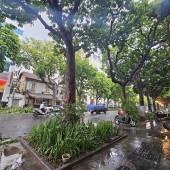 ⚜️ Bán Nhà Mặt Phố Trần Hưng Đạo Lô Góc 80 M2 6T Thang Máy, MT 9M, Chỉ 90 Tỷ ⚜️
