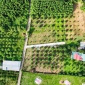 LÔ ĐẤT QH FULL THỔ 500,6M2 - NẰM MẶT TIỀN ĐƯỜNG 5,5m TẠI SUỐI TIÊN - DIÊN KHÁNH!