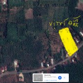 Bán Nhanh 3 sổ (16x50=800m2) đường nhựa 1 xẹt QL13, dân đông, đường thông chỉ nhỉnh 300tr