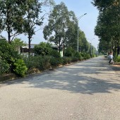 Cần mua nhà, đất thại Phường Vĩnh Phú, Thuận An, BD