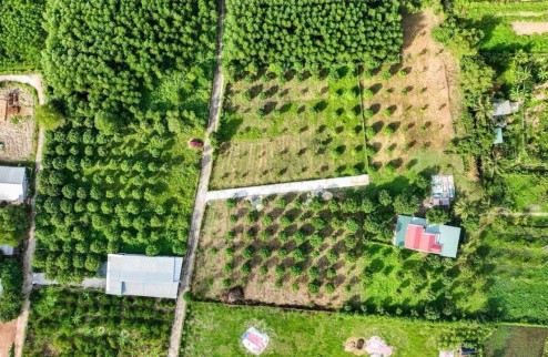 LÔ ĐẤT QH FULL THỔ 500,6M2 - NẰM MẶT TIỀN ĐƯỜNG 5,5m TẠI SUỐI TIÊN - DIÊN KHÁNH!