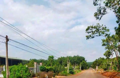 Rước lộc 50 Triệu chỉ còn 260tr cho miếng đất (5x55=275m2) trung tâm thị xã, gần trường, chợ, QL13