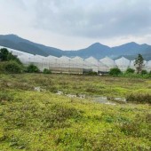 Chính chủ bán lô đất 7000m2 ở Lâm Đồng, gần khu du lịch LangBiang