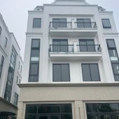 Biệt thự song lập 142.6m2 giá 3x tỷ kđt The Diamond Point Long Biên, Hà Nội (0985941715)