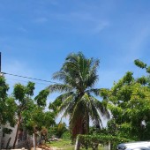 BÁN ĐẤT SỖ SẴN MẶT TIỀN BIỂN TRUNG TÂM MŨI NÉ-PHAN THIẾT