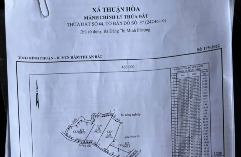 CHÍNH CHỦ BÁN 34.601M2 ĐẤT ĐÃ TÁCH LÀM 4 SỔ GIÁ CHỈ 150K/M2 TẠI HÀM THUẬN BẮC-BÌNH THUẬN