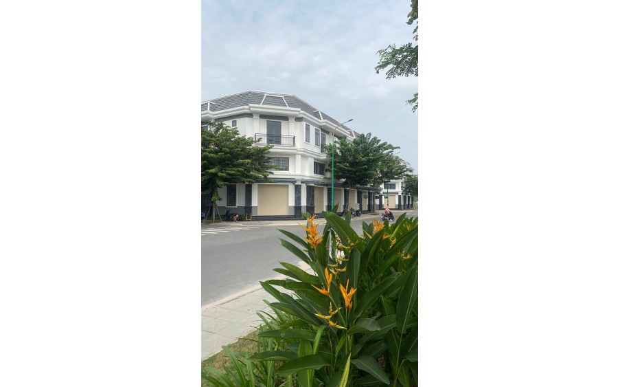 Nhà phố thương mại Hòa Lợi: Giá rẻ, pháp lý chuẩn, đầu tư là thắng!
Hoa Loi Commercial Townhouse: Affordable, Legal, and Profitable Investment!