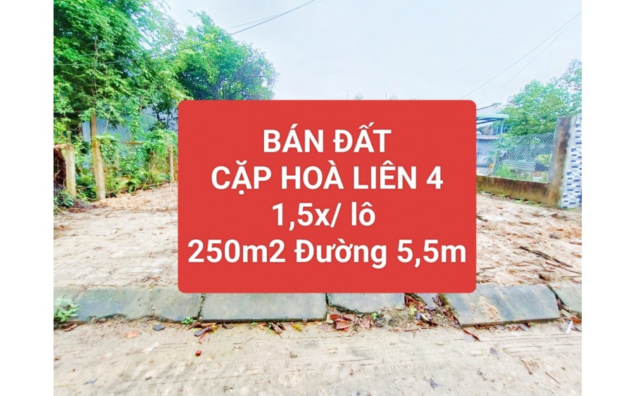 ✅✅1,6 TỶ/LÔ ⏩ CẶP ĐẤT LIỀN KỀ 1/2 NGÃ BA TÁI ĐỊNH CƯ HÒA LIÊN 4✅✅