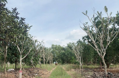 Đất vườn Diên Xuân - Diên Khánh - Khánh Hòa . Phù hợp xây farm