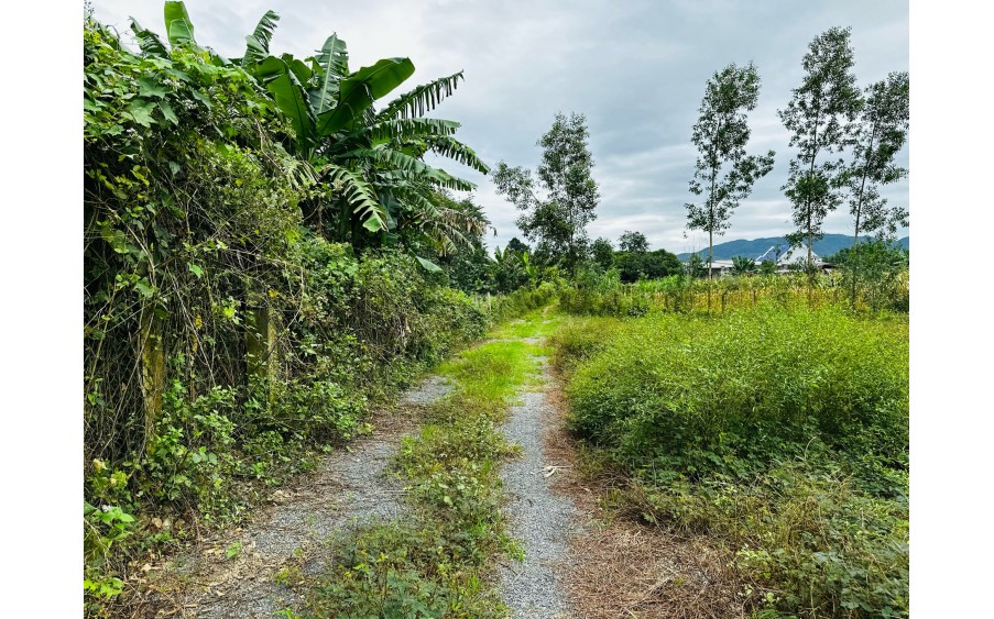 Bán 04 lô đất View Sông Siêu Đẹp - Trung Tâm xã Khánh Bình - Khánh Vĩnh. Giá từ 450 triệu/lô