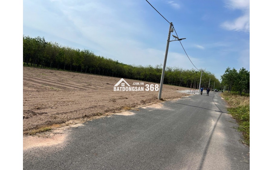 ĐẤT NỀN GIÁ RẺ THÀNH PHỐ BẾN CÁT- BÌNH DƯƠNG