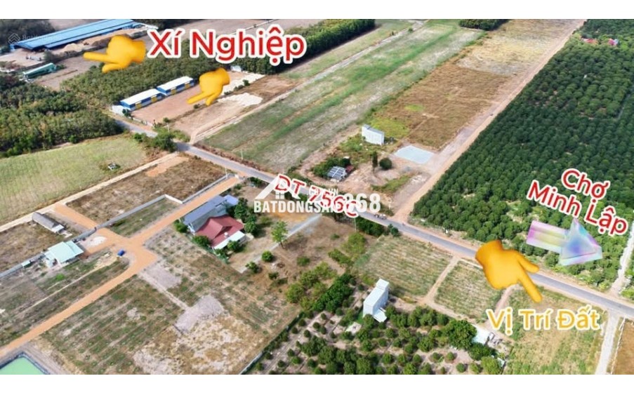Chủ Gửi Bán Lô (250m2) Mặt Tiền Nhựa Chơn Thành, Gần Becamex,Chợ Trường, Dân Đông, Giá Tốt
