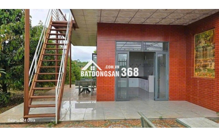 CC CẢ NHÀ SANG MỸ ĐỊNH CƯ NÊN CẦN BÁN GẤP VƯỜN CÂY ĂN TRÁI CÓ 300 CÂY SẦU RIÊNG VÀ NHÀ Ở TRÊN ĐẤT ĐIỆN NƯỚC ĐẦY ĐỦ.