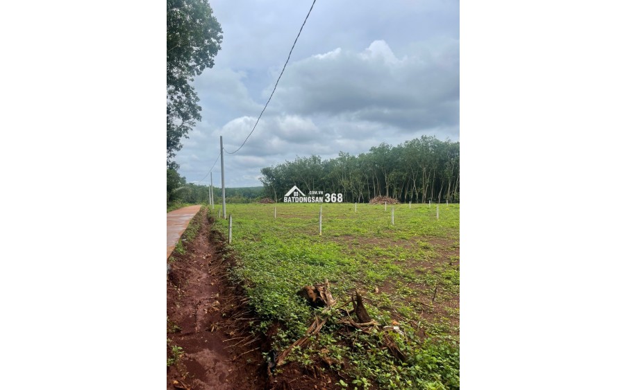Đất Sào 1.037m2,Chính Chủ,BÁN NHANH,Giá 265 triệu,Mặt Tiền Nhựa vào 100m,Ngay Dân Đông,Sát Cây Xăng.