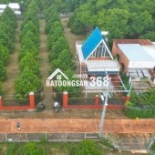 C SANG MỸ ĐỊNH CƯ KHÔNG AI CHĂM VƯỜN NÊN CẦN NHƯỢNG LẠI VƯỜN SẦU RIÊNG HIỆN TẠI CÓ 300 CÂY SẦU RIÊNG ĐÃ CHO TRÁI VÀ NHÀ TRÊN ĐẤT