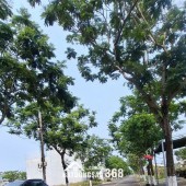 BÁN ĐẤT MT VÕ VĂN ĐỒNG NGAY BIÊN TÂN TRÀ