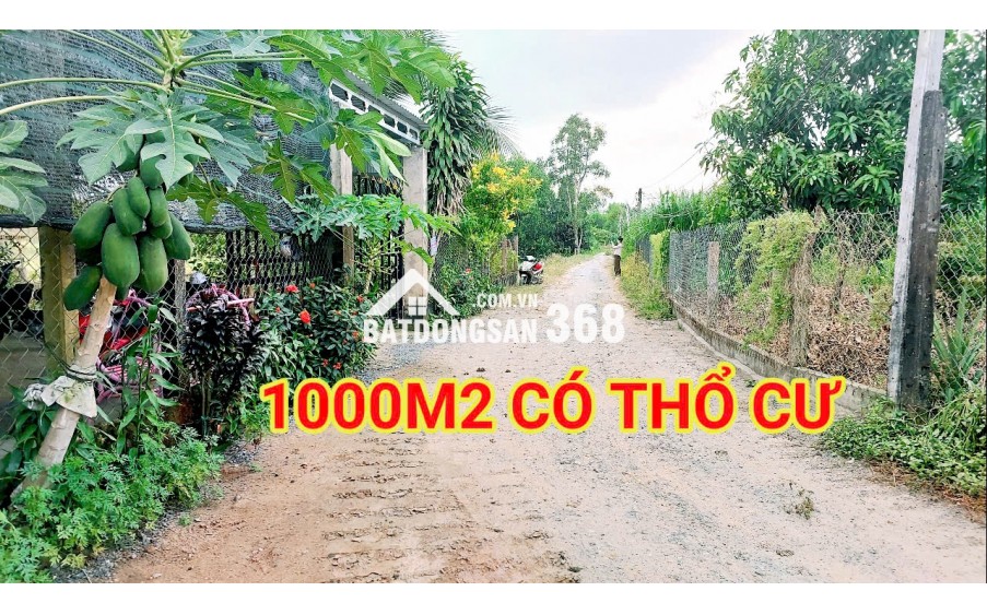 280 Triệu sang Tên 1000m2 có Thổ Cư, Gần DT 818, mỗi tháng trả thêm 3 triệu